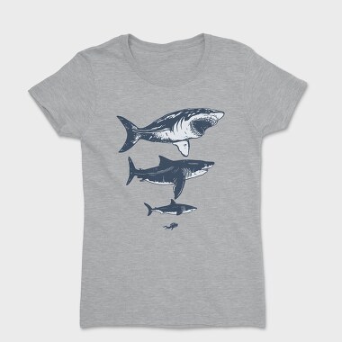 Tricou Femei, Megalodon Sizes