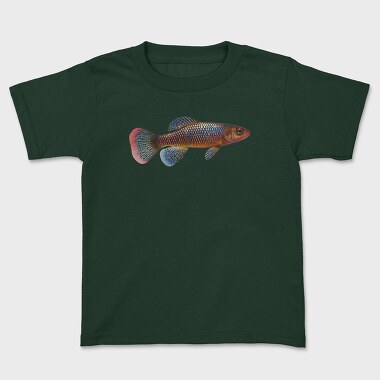 Killifish, Tricou Copii